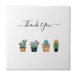 Cactus Cactus Greenerescente Natureza