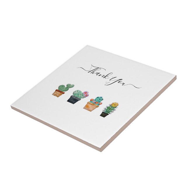 Cactus Cactus Greenerescente Natureza (Lateral)