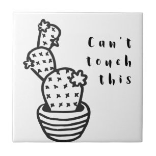 Cactus Cant Touch