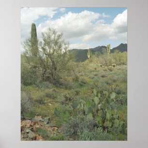 Cactus Desert Coloring Photoprint Poster