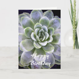 Cactus design - Placa Cartões de aniversários