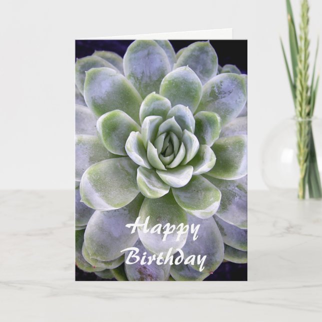 Cactus design - Placa Cartões de aniversários (Frente)