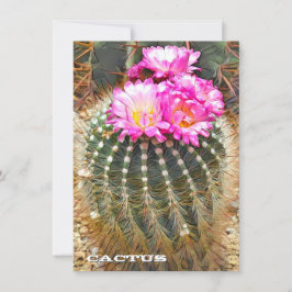 Cactus: Flat Card