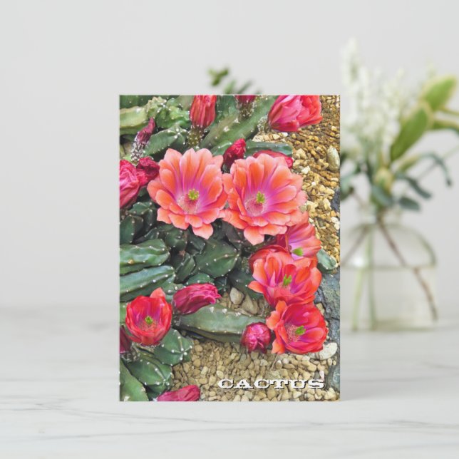 Cactus: Flat Card (Em pé/Frente)