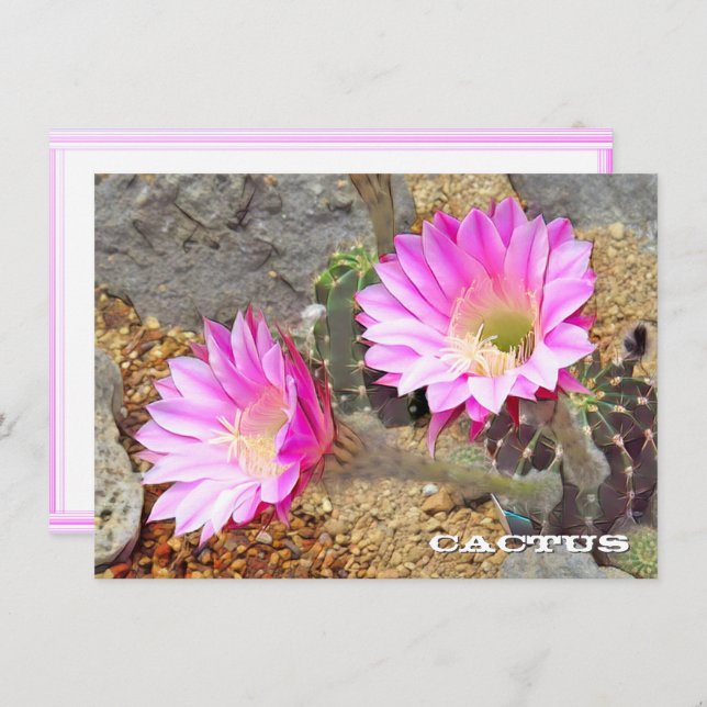 Cactus: Flat Card (Frente/Verso)