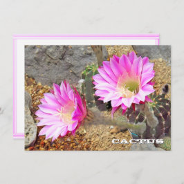 Cactus: Flat Card