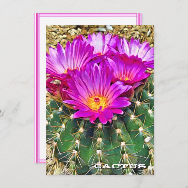 Cactus: Flat Card (Frente/Verso)
