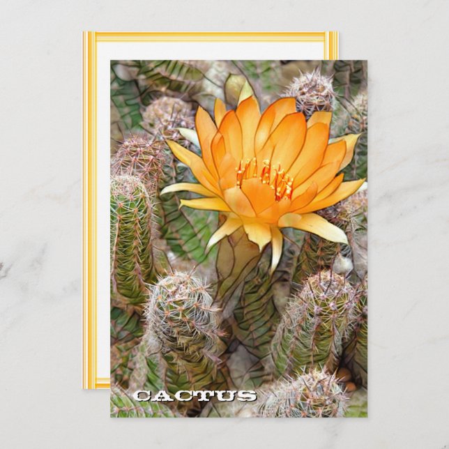 Cactus: Flat Card (Frente/Verso)