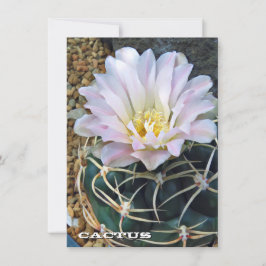 Cactus: Flat Card