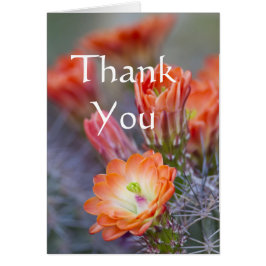 Cactus floresce no Cartões de agradecimentos Laran