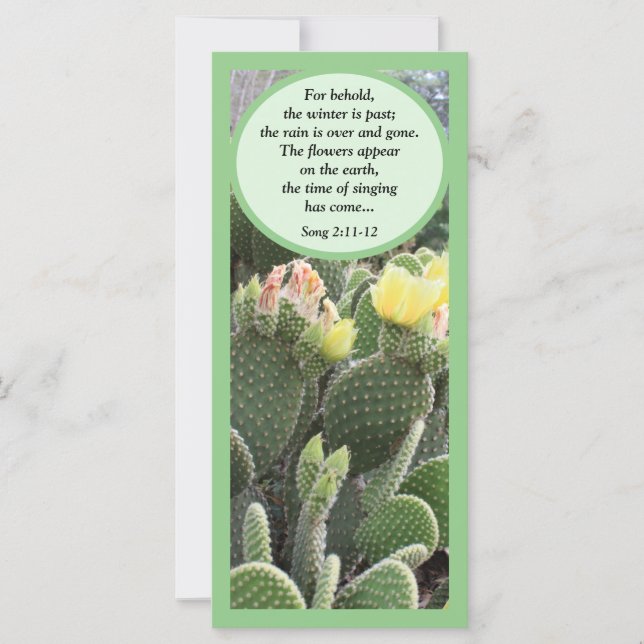 Cactus Flowers Song of Solomon Flat Card (Frente)