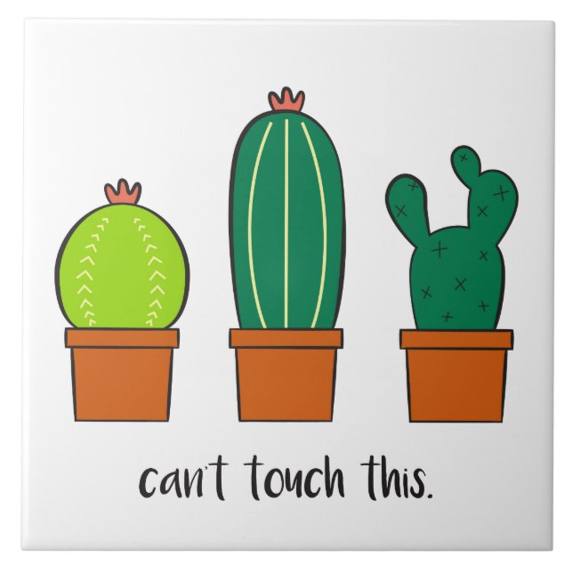 Cactus Ilustrado (Frente)