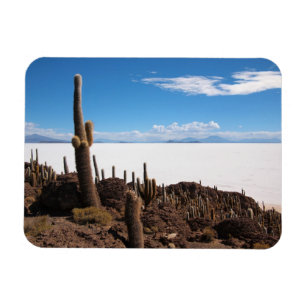 Cactus no ímã retangular Salar de Uyuni