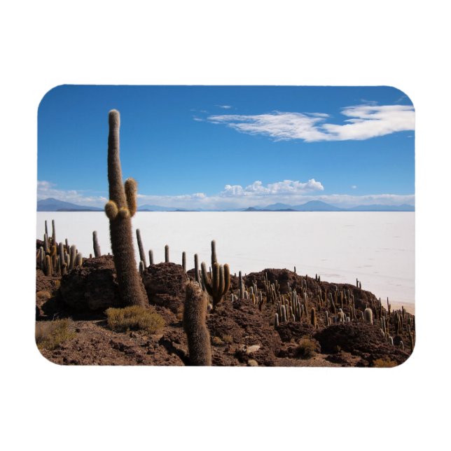 Cactus no ímã retangular Salar de Uyuni (Horizontal)