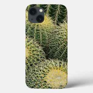 Cactus Pattern
