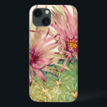 Cactus Pink Blossoms<br><div class="desc">Cactus Pink Blossoms Artist: Tim OToole</div>