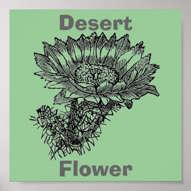 Cactus Poster (Frente)