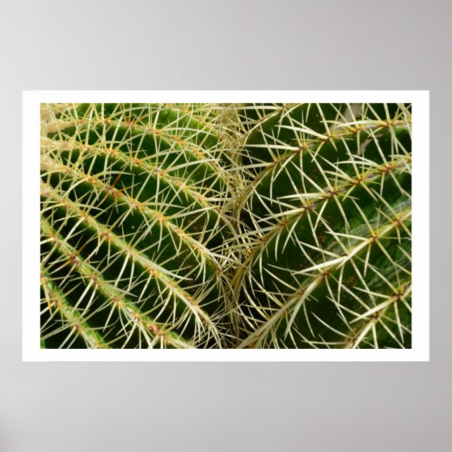 Cactus Poster (Frente)
