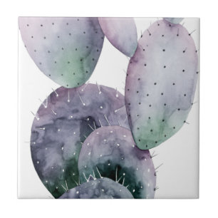 Cactus Roxo