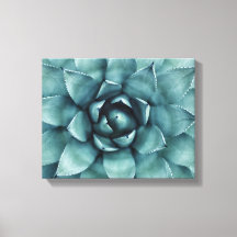 Cactus Succulus Cactos Canvas Art
