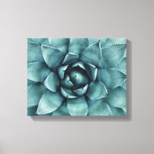 Cactus Succulus Cactos Canvas Art