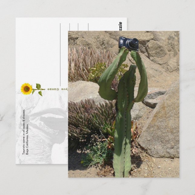 Cactus Turista - cartão postal (Frente/Verso)