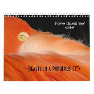 "Cada dia é calendário de sexta-feira do flaming