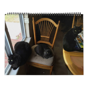 Cada dia é calendário feito sob encomenda do gat