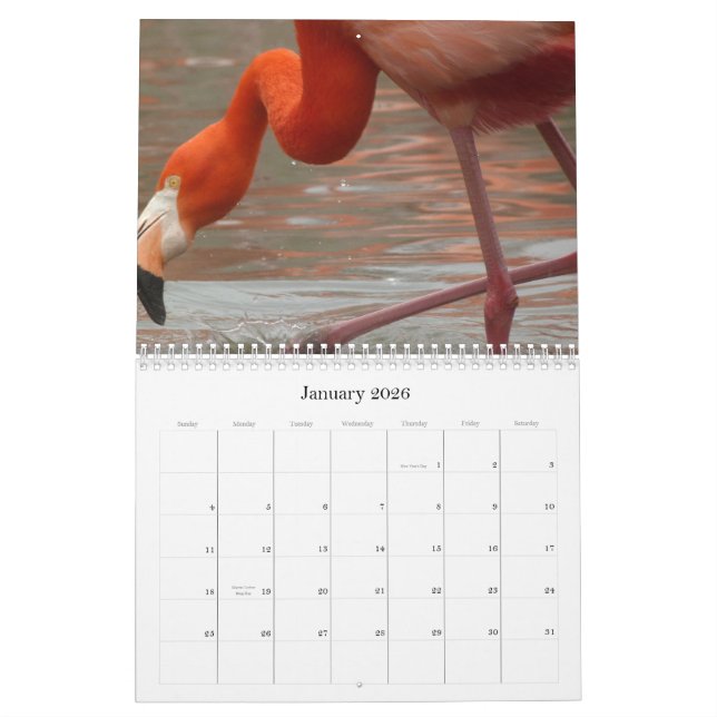 Cada dia é flamingo sexta-feira - calendário (Jan 2026)