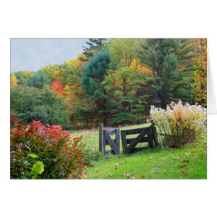 Cada saída é uma entrada em outro lugar: cartão