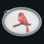 Cadeado de aves cardinhas<br><div class="desc">ilustração de um pássaro cardeal em um galho pintado com aquarelas,  você pode ver o processo de pintura aqui: http://bit.ly/2zCeRZe</div>