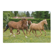 Cadeiras dos cavalos da esteira de lugar da mesa