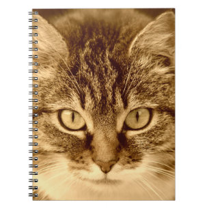 Caderno alinhado espiral do Diário dos amantes do