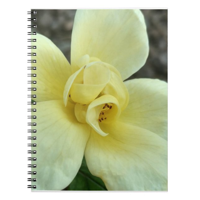 Caderno amarelo da flor (Frente)