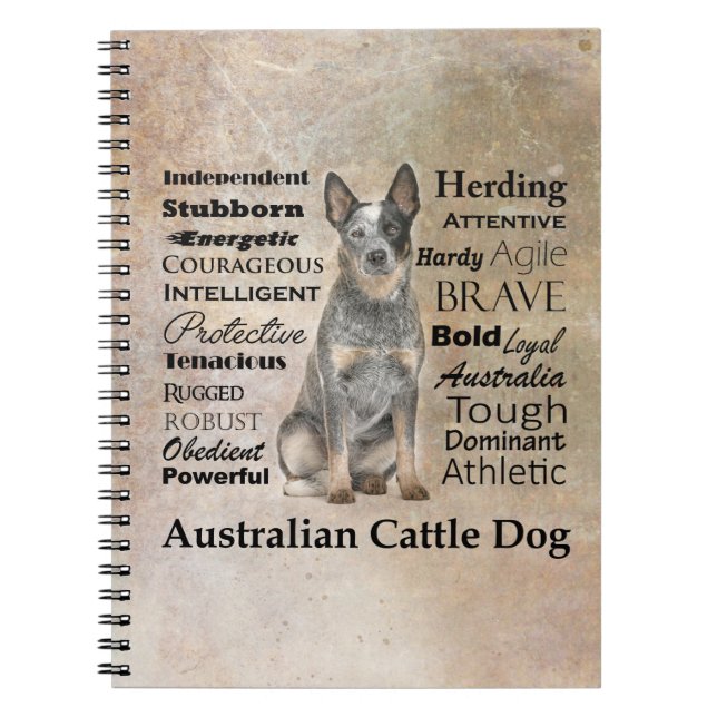 Caderno australiano do cão do gado (Frente)