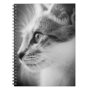 Caderno bonito do gatinho