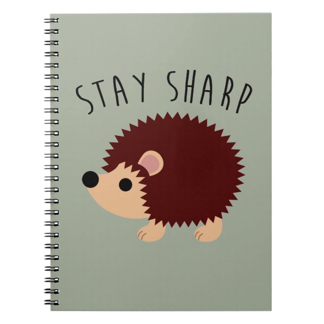 Caderno bonito do ouriço (Frente)