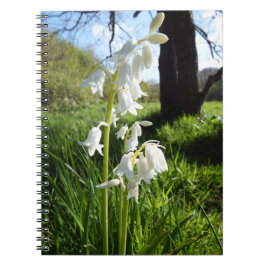 Caderno branco dos Bluebells