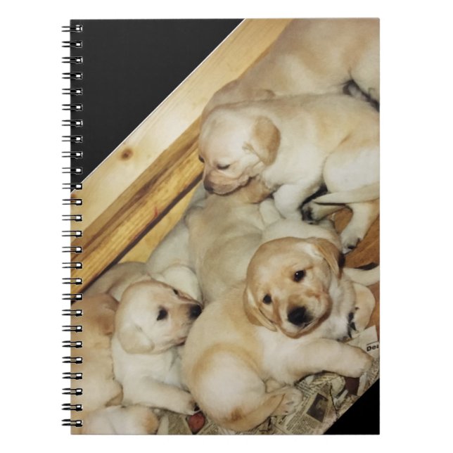 Caderno com a foto de filhotes de cachorro (Frente)