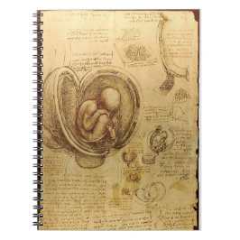 Caderno da anatomia do feto de da Vinci