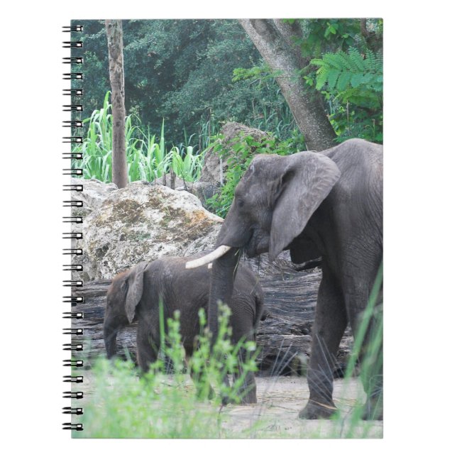 Caderno da família do elefante (Frente)