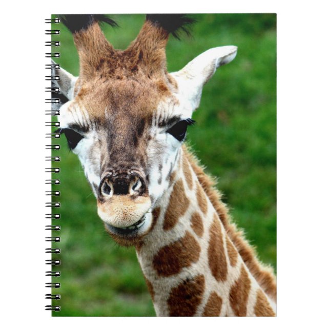 Caderno da foto do girafa (Frente)