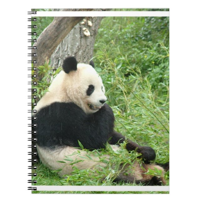 Caderno da panda (Frente)