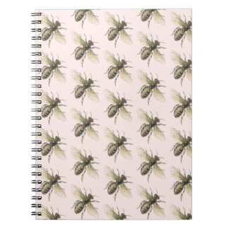 Caderno das abelhas ocupadas