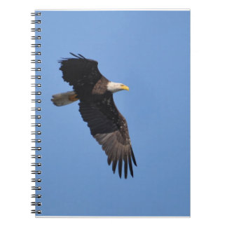 Caderno de Eagle