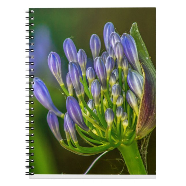 Caderno de Fotos em Espiral de Flor Roxa (Frente)