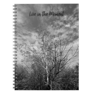 Caderno de Fotos Espiral Árvores Viva o Momento