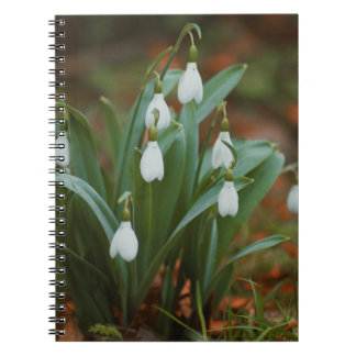 Caderno de Fotos Espiral de Flores de Snowdrop
