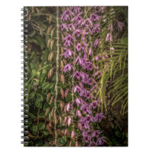Caderno de Fotos Espiral de Orquídea