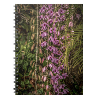 Caderno de Fotos Espiral de Orquídea